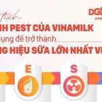 Phân tích mô hình PEST của Vinamilk đã ứng dụng để trở thành thương hiệu sữa lớn nhất Việt Nam