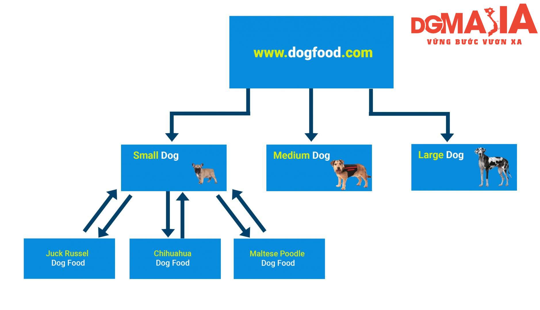 Xây dựng cấu trúc liên kết nội bộ giúp tăng khả năng tìm kiếm của website