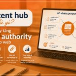 Content hub là gì? Cách xây tăng topical authority cho website